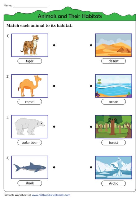 Understanding The Wonder Of Animals: Their Habitats And Behaviors Understanding The Wonder Of Animals: Their Habitats And Behaviors