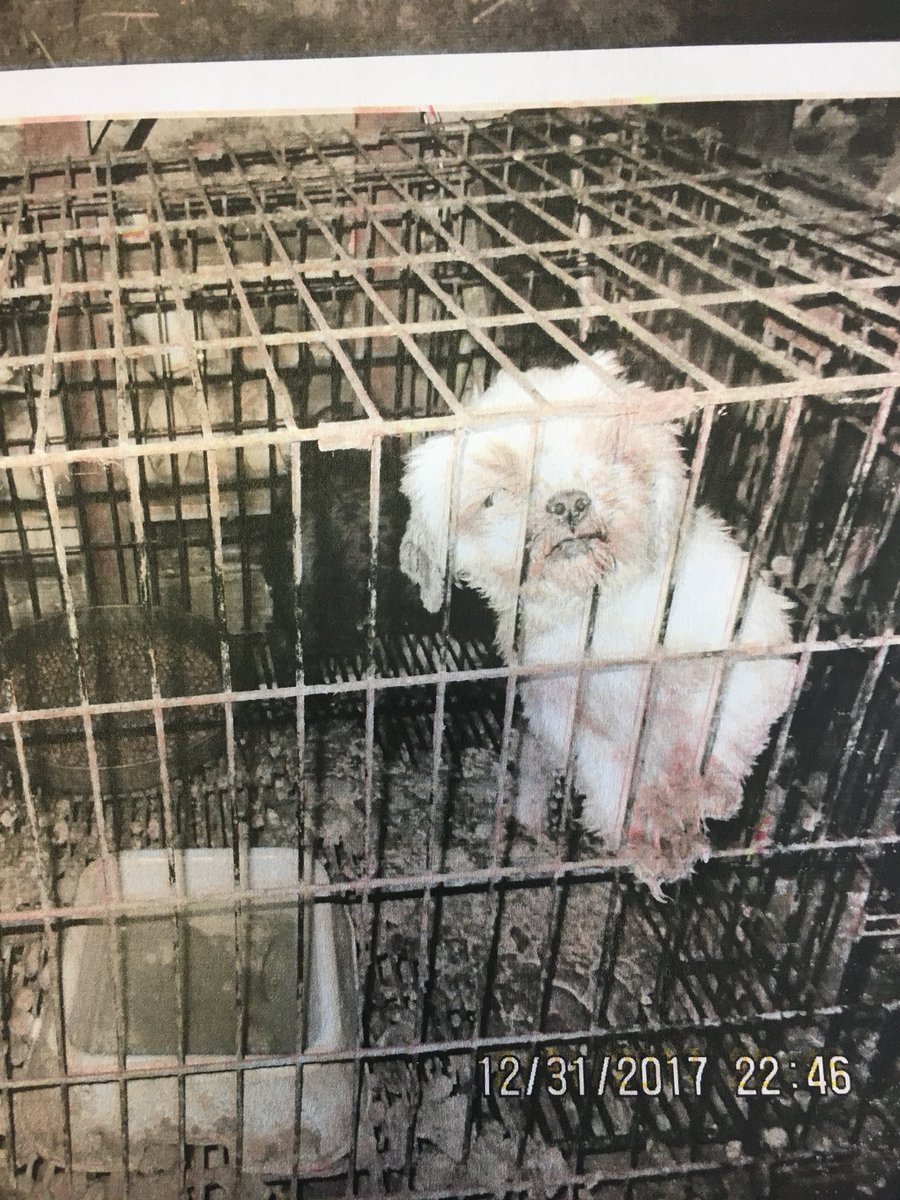 UPDATE: 49 Dogs Removed From Washington County Breeding Facility UPDATE: 49 Dogs Removed From Washington County Breeding Facility