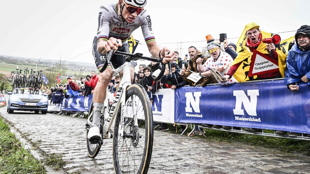 Van Der Poel's Dominant Tour Of Flanders Performance: Pogačar's Contention Van Der Poel's Dominant Tour Of Flanders Performance: Pogačar's Contention