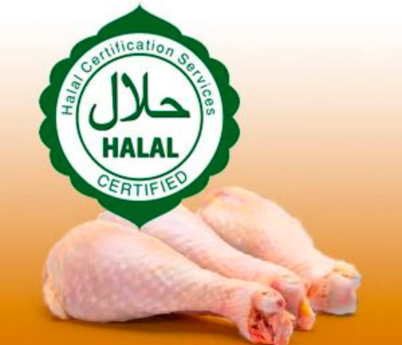 Vegans And Halal Slaughter: A Necessary Conversation Vegans And Halal Slaughter: A Necessary Conversation