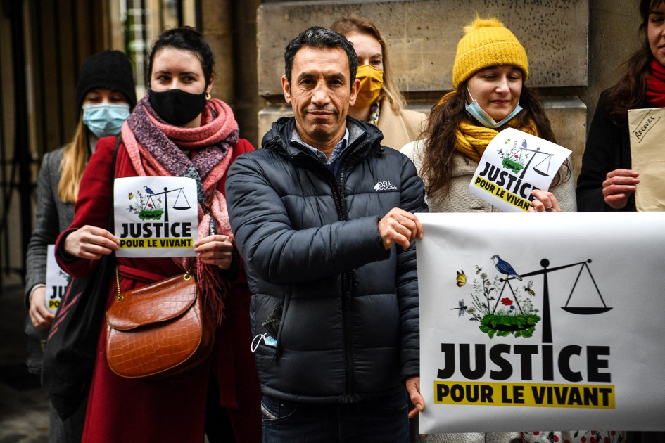 Vers Des Droits Pour Le Vivant : La Justice Pour L’étoile De Mer
