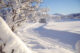 Vinterferie I Sør-Norge: Viktig Informasjon Om Snø Og Føreforhold Vinterferie I Sør-Norge: Viktig Informasjon Om Snø Og Føreforhold