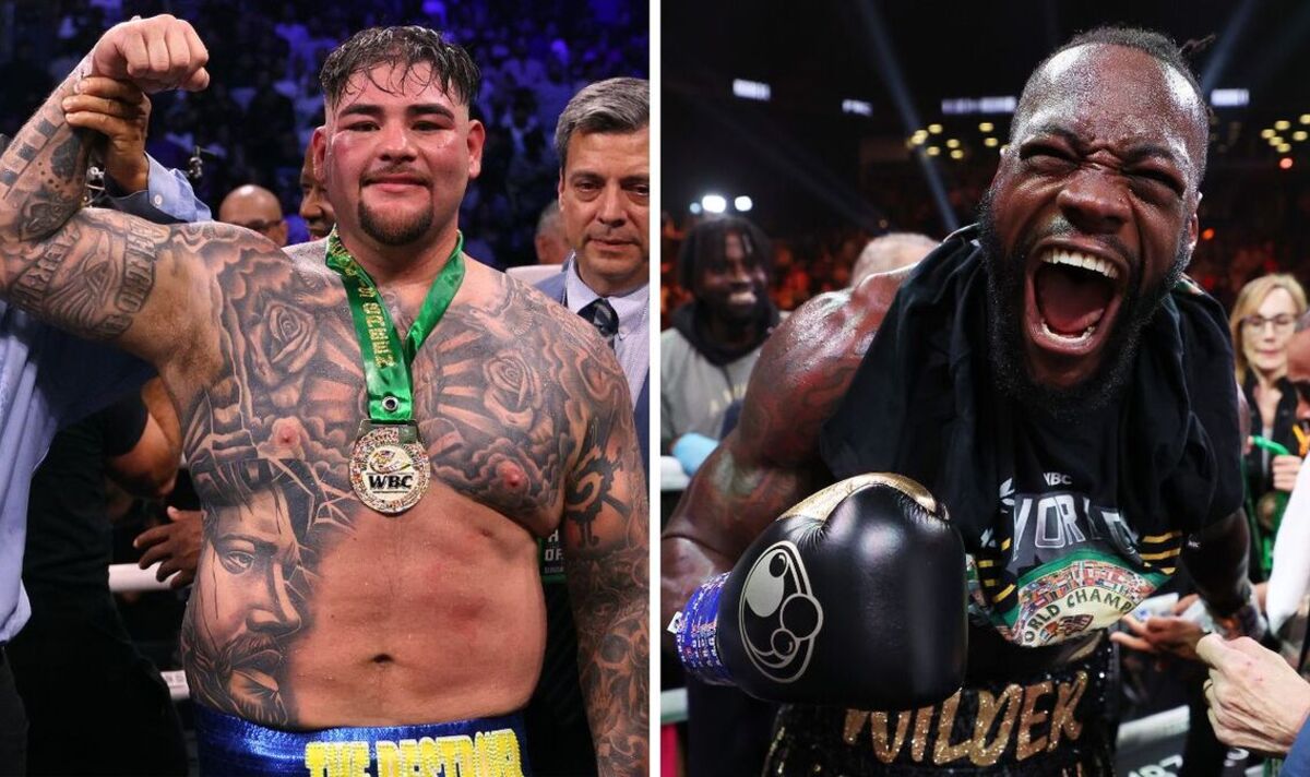 WBC Final Eliminator: Cissokho Takes On Kavaliauskas WBC Final Eliminator: Cissokho Takes On Kavaliauskas