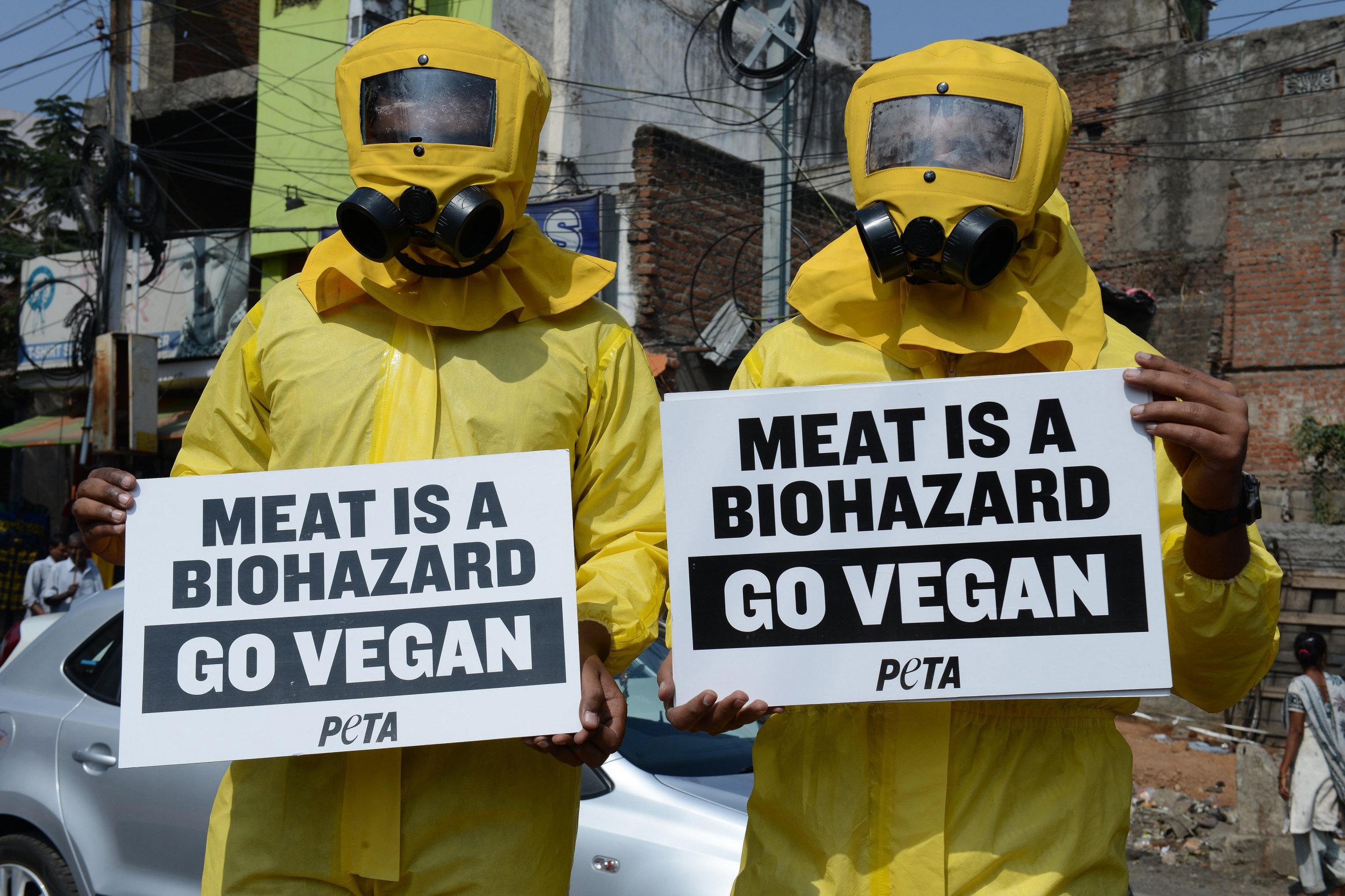 Why Vegans Should Condemn Halal Meat Production Why Vegans Should Condemn Halal Meat Production