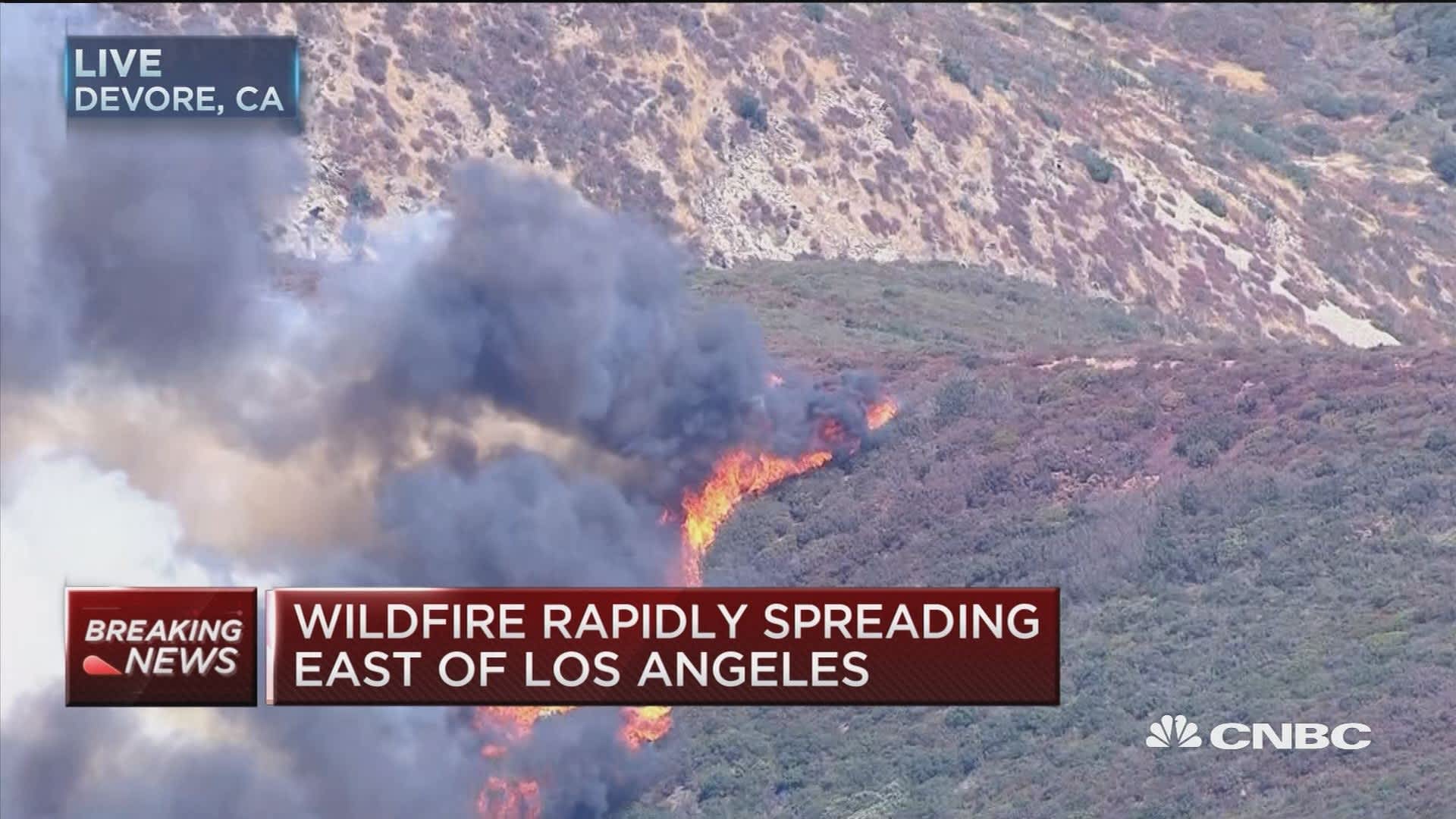 Wildfire Betting In LA: A Troubling Sign Of The Times Wildfire Betting In LA: A Troubling Sign Of The Times