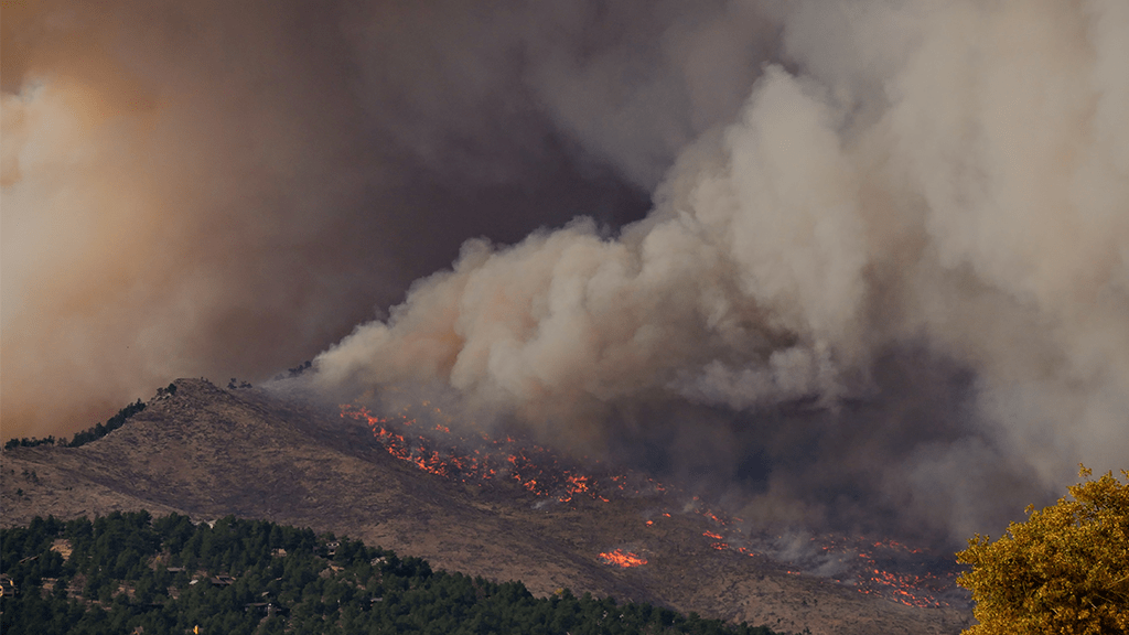 Wildfire Season In LA: The Unsettling Reality Of Disaster Betting Markets Wildfire Season In LA: The Unsettling Reality Of Disaster Betting Markets