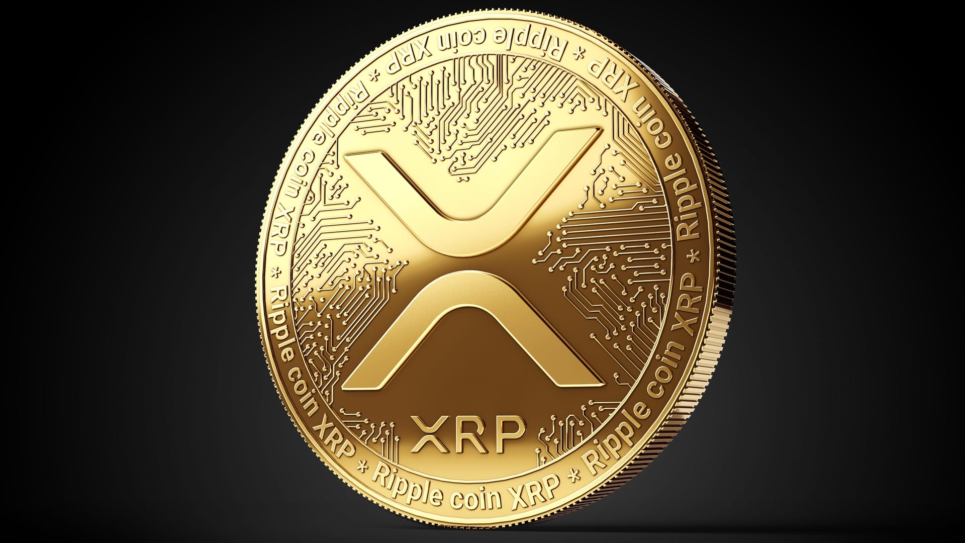 XRP's Recent Price Increase: The Trump Factor And Other Influences