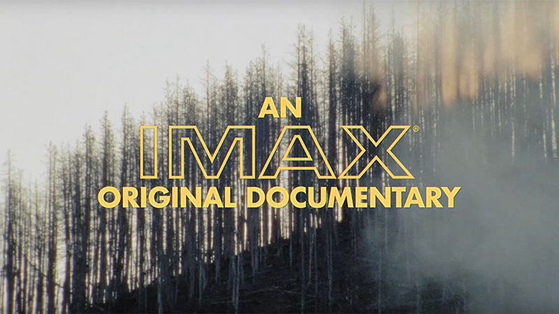 Yellowstone's Lost Wolves: Documentary Film Trailer Unveiled Yellowstone's Lost Wolves: Documentary Film Trailer Unveiled