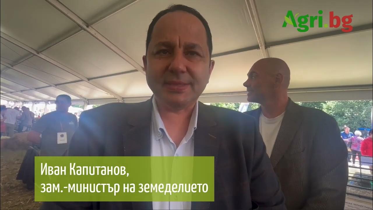 «Зенит» Предлагает Жерсону Контракт На €500 000: Заявление Журналиста «Зенит» Предлагает Жерсону Контракт На €500 000: Заявление Журналиста